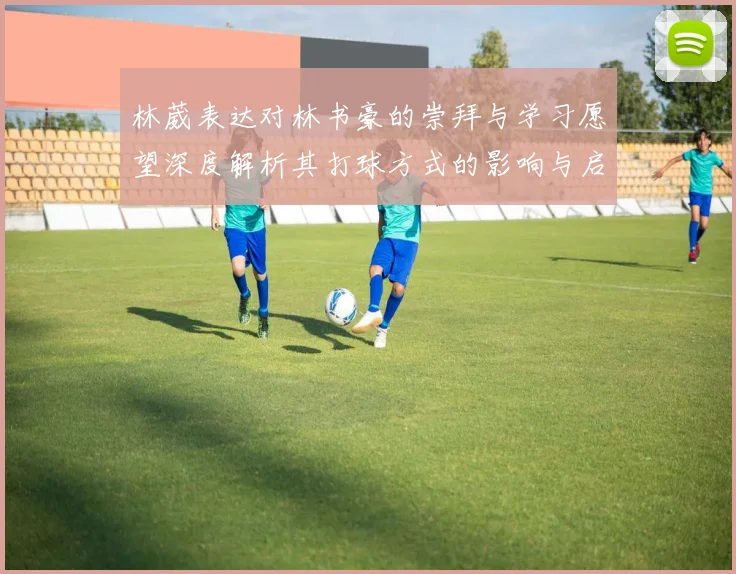 林葳表达对林书豪的崇拜与学习愿望深度解析其打球方式的影响与启发