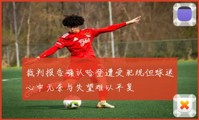 裁判报告确认哈登遭受犯规但球迷心中无奈与失望难以平复