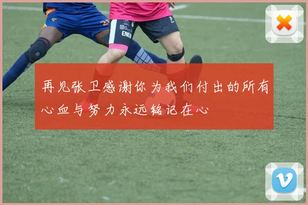 再见张卫感谢你为我们付出的所有心血与努力永远铭记在心